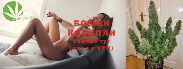 меф Гусев