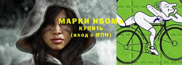 гидра Горняк